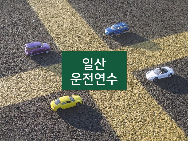 일산운전연수 후기