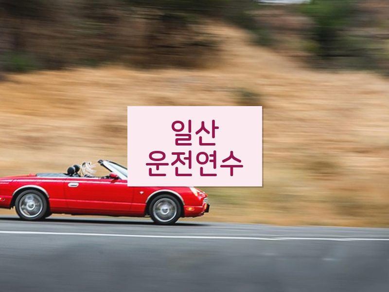 일산운전연수 후기