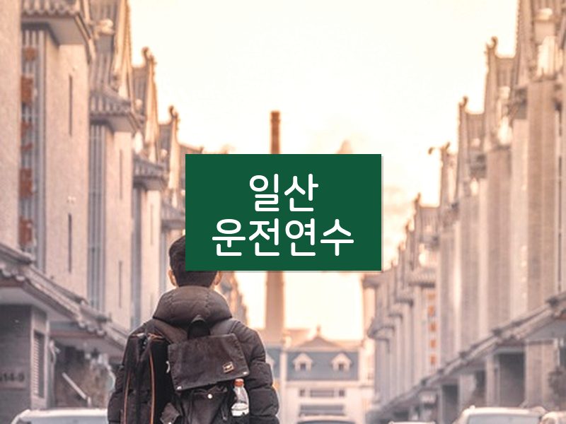 일산운전연수 후기