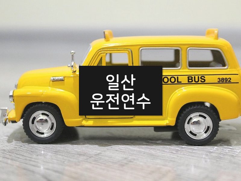 일산운전연수 후기