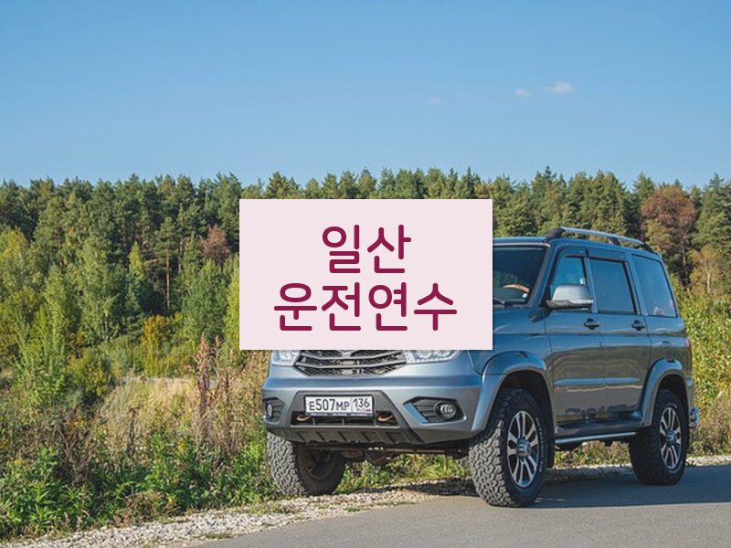 일산운전연수 후기