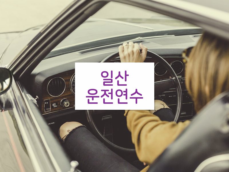 일산운전연수 후기