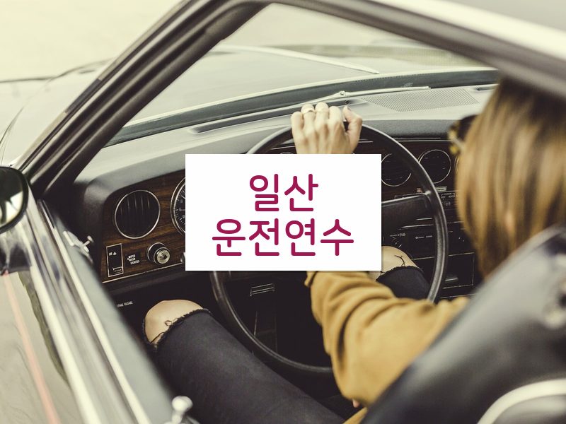일산운전연수 후기