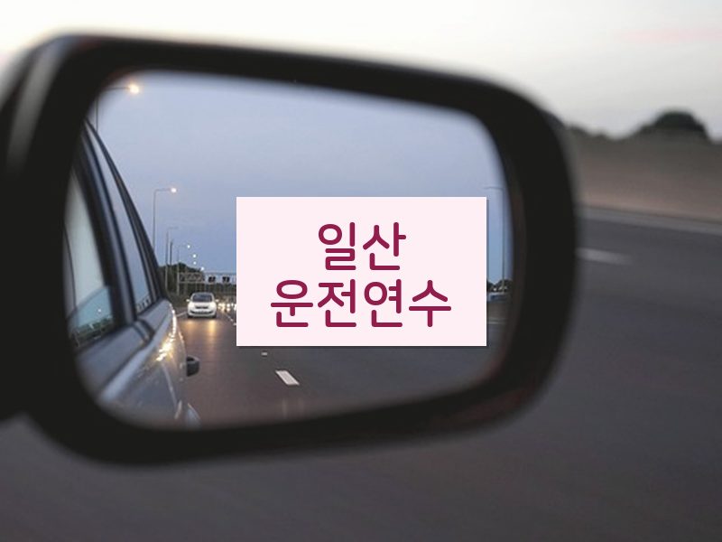일산운전연수 후기