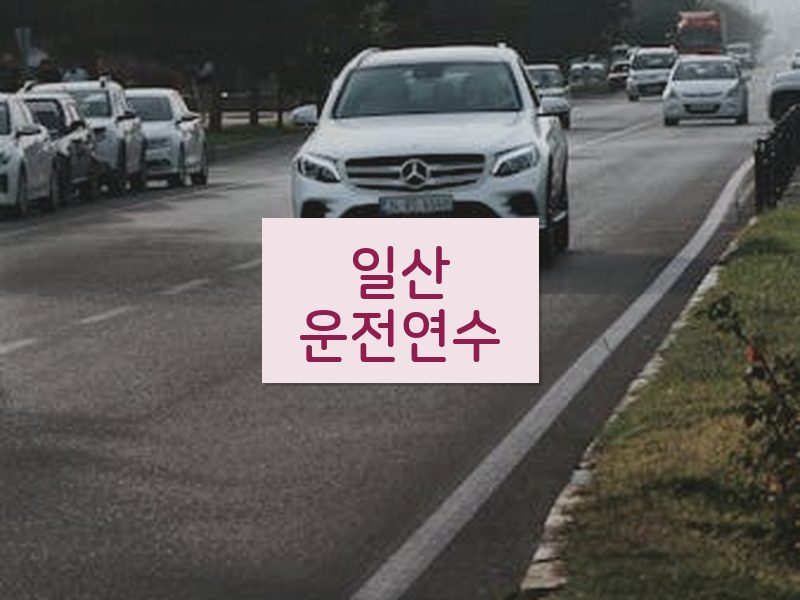 일산운전연수 후기
