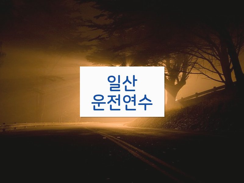 일산운전연수 후기