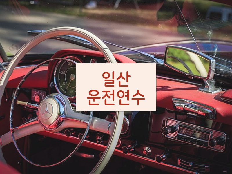 일산운전연수 후기