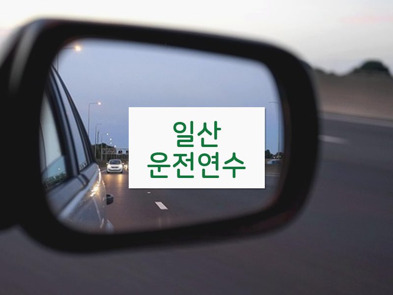 일산운전연수 후기