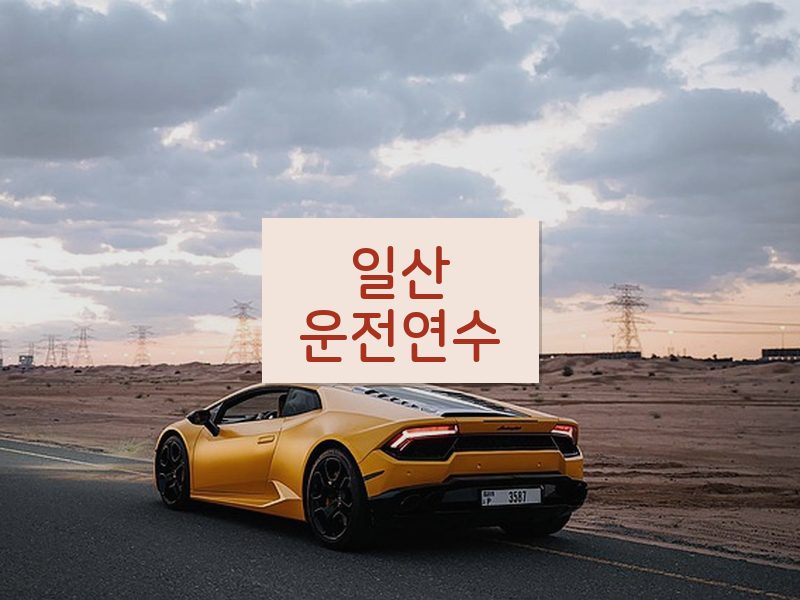 일산운전연수 후기