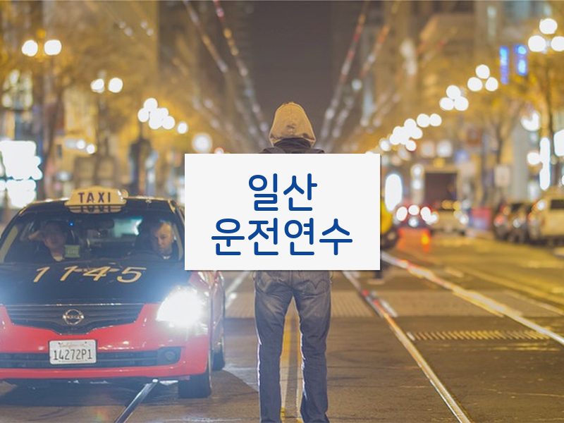 일산운전연수 후기
