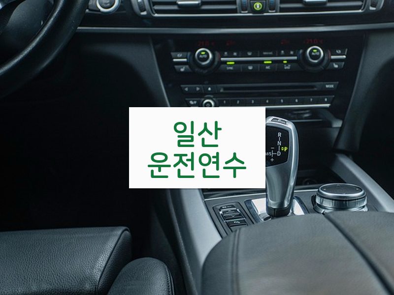 일산운전연수 후기