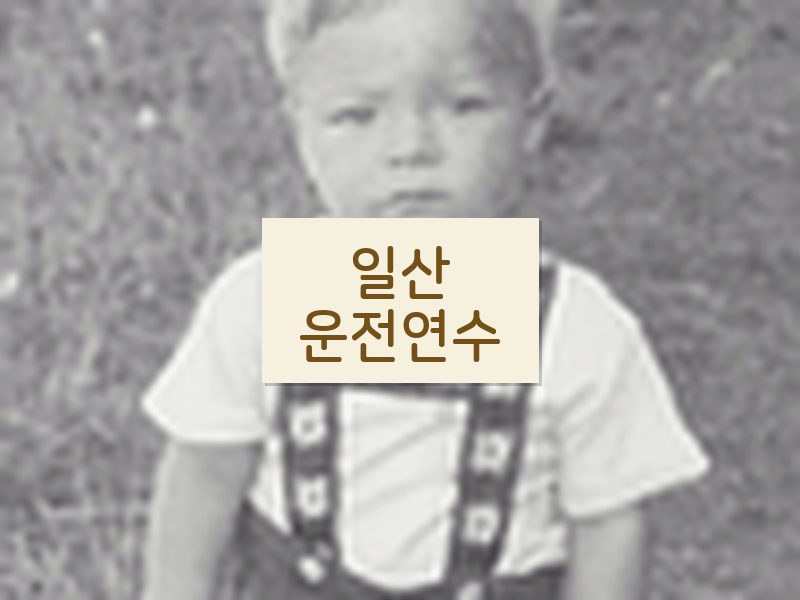 일산운전연수 후기