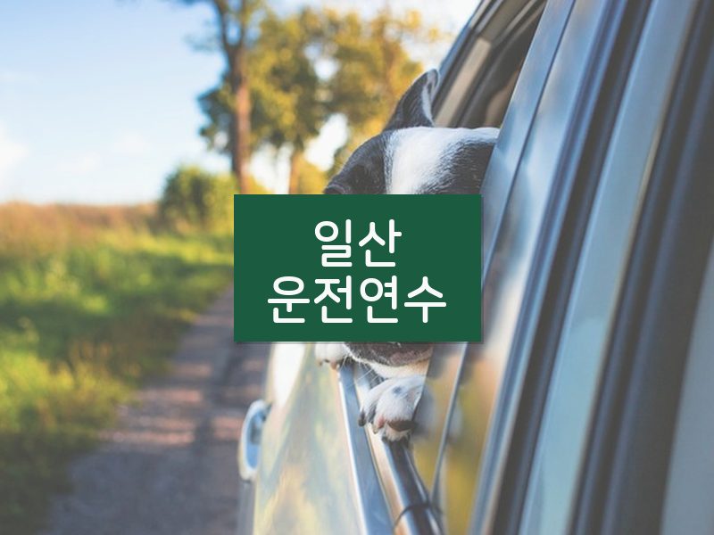 일산운전연수 후기