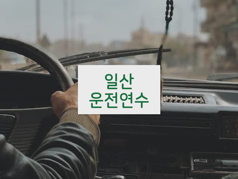 일산운전연수 후기