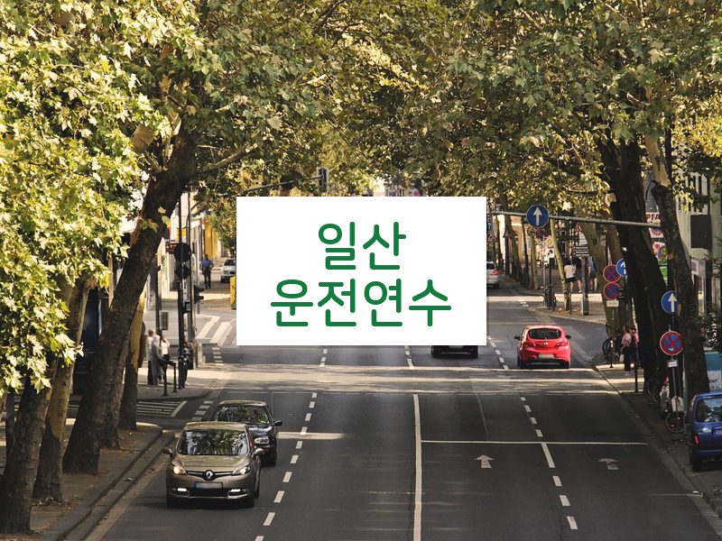 일산운전연수 후기