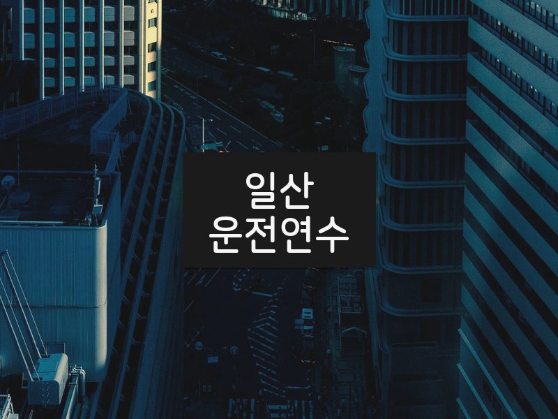 일산운전연수 후기