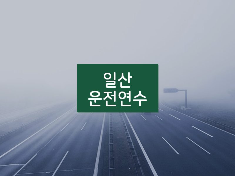일산운전연수 후기