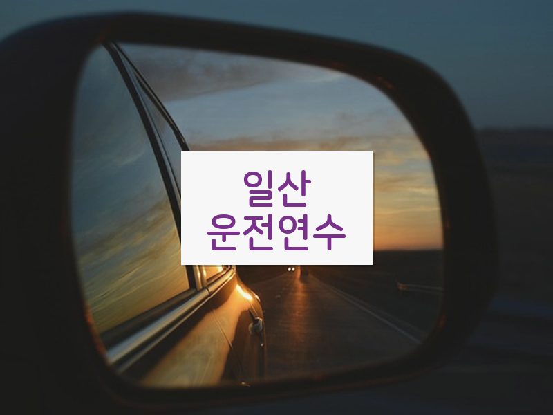 일산운전연수 후기