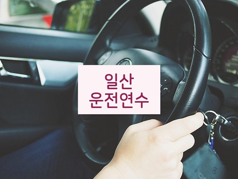 일산운전연수 후기