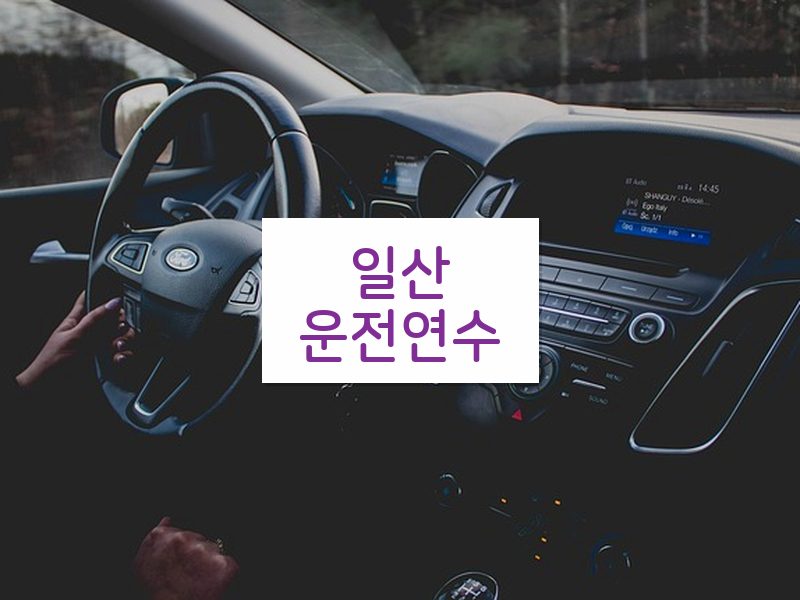 일산운전연수 후기
