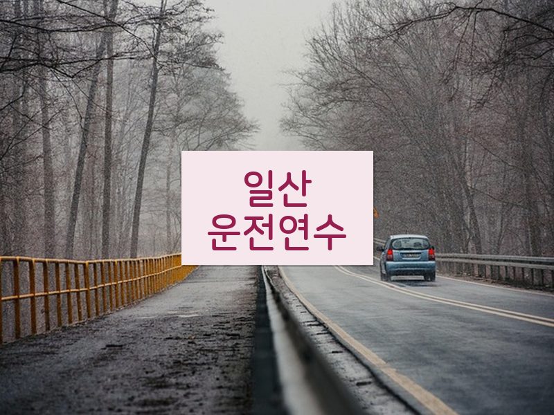일산운전연수 후기