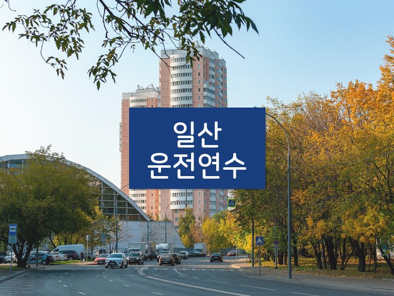 일산운전연수 후기