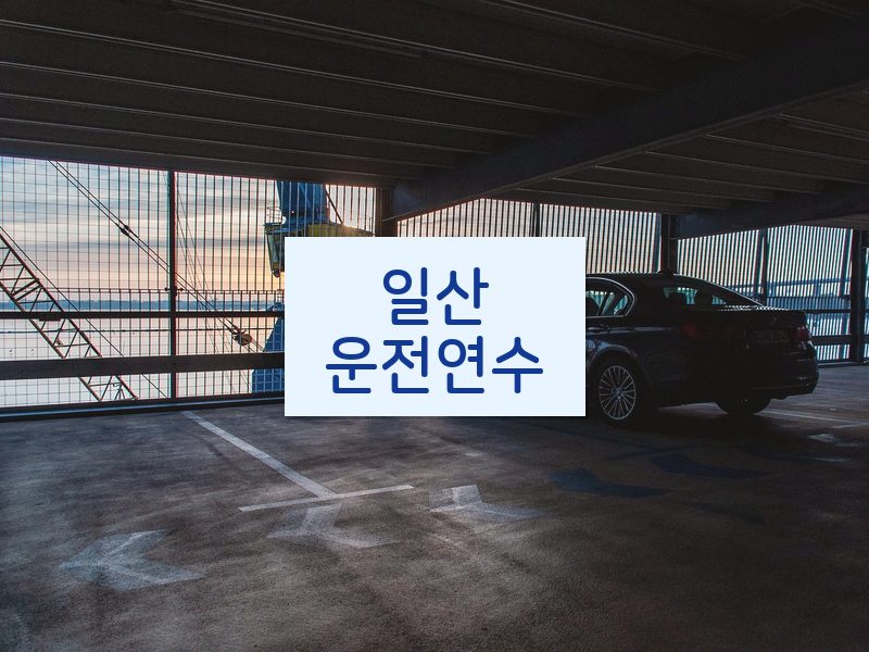 일산운전연수 후기