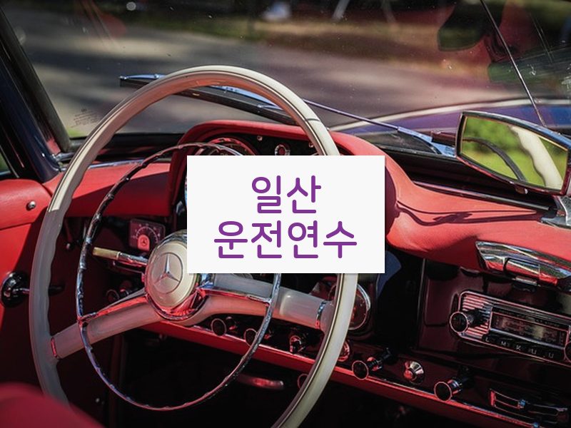 일산운전연수 후기