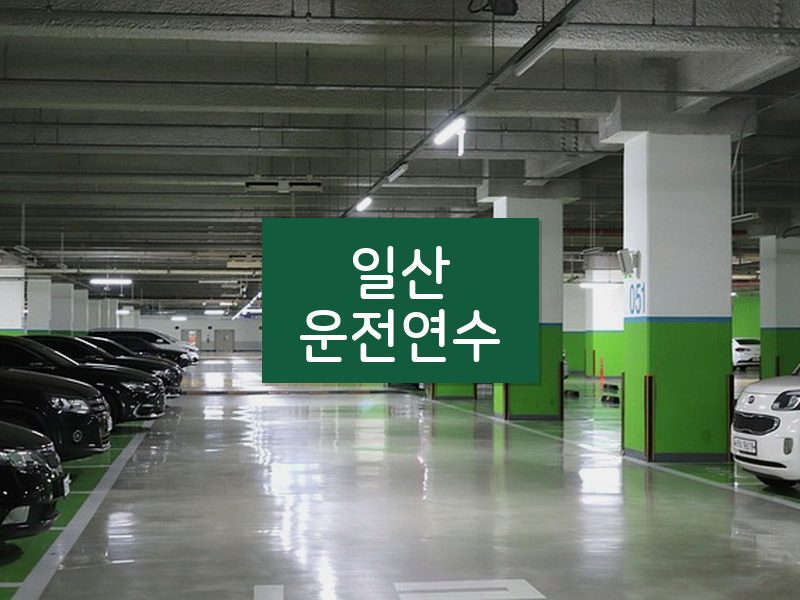 일산운전연수 후기