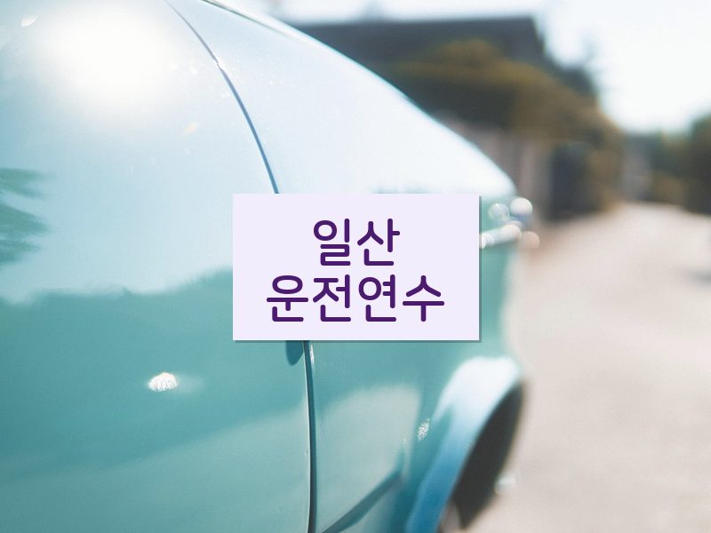 일산운전연수 후기