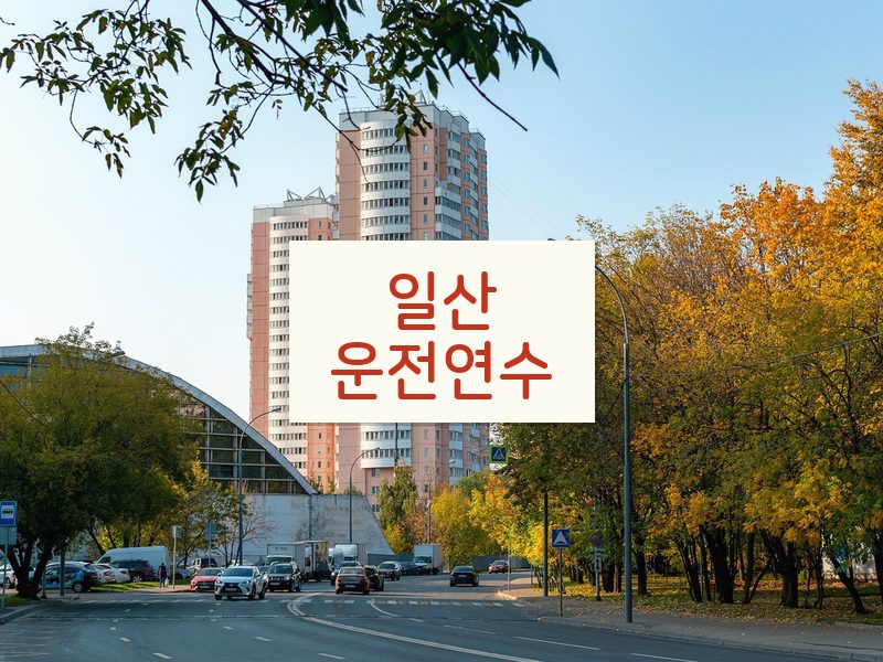일산운전연수 후기