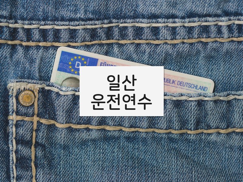 일산운전연수 후기