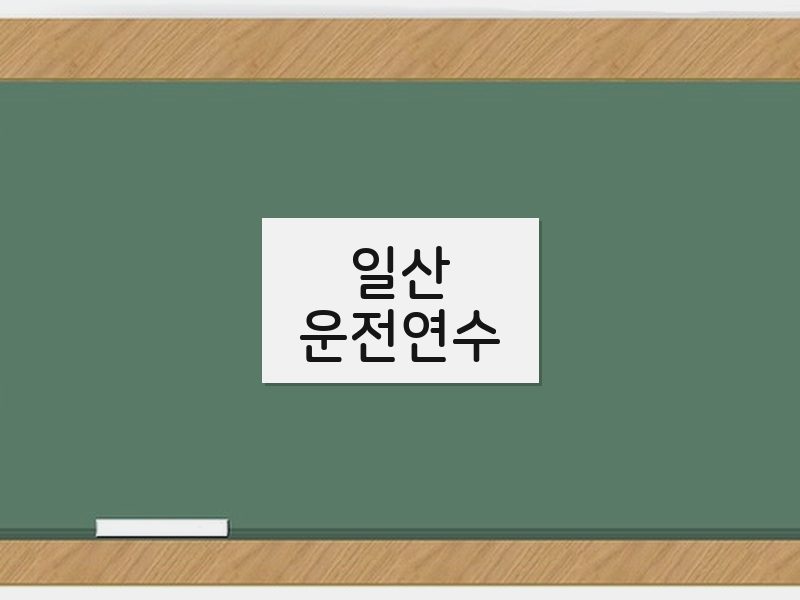 일산운전연수 후기
