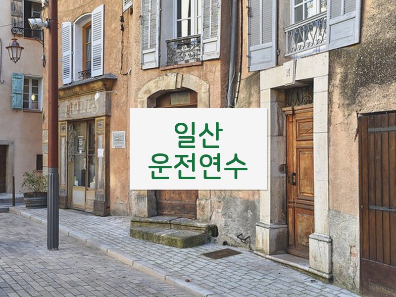 일산운전연수 후기