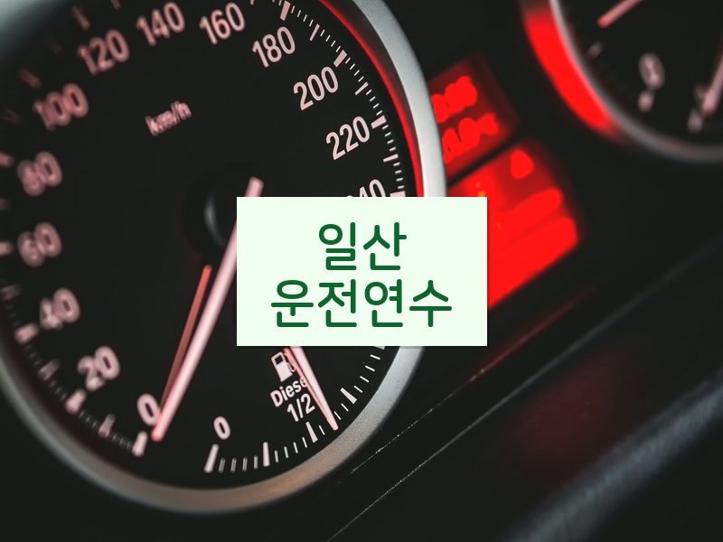 일산운전연수 후기