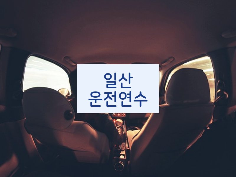 일산운전연수 후기