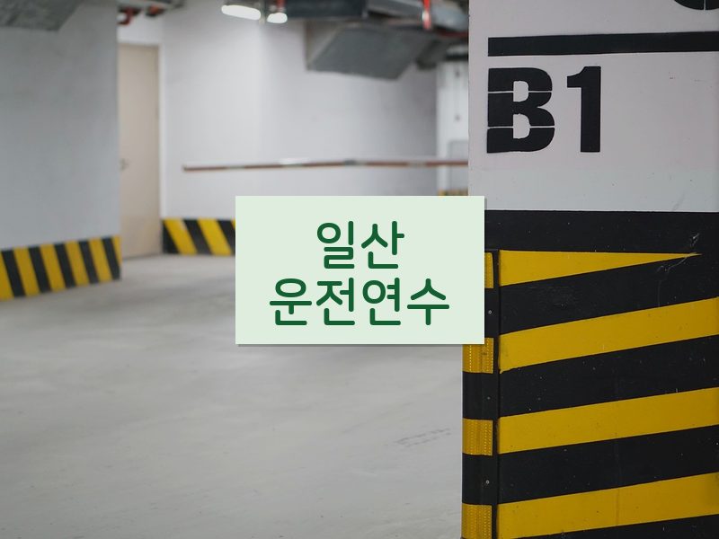 일산운전연수 후기