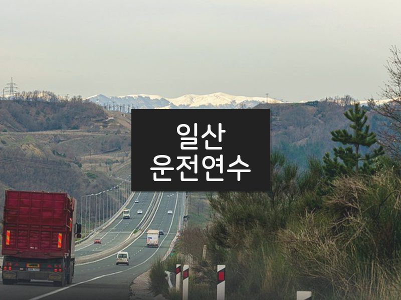 일산운전연수 후기