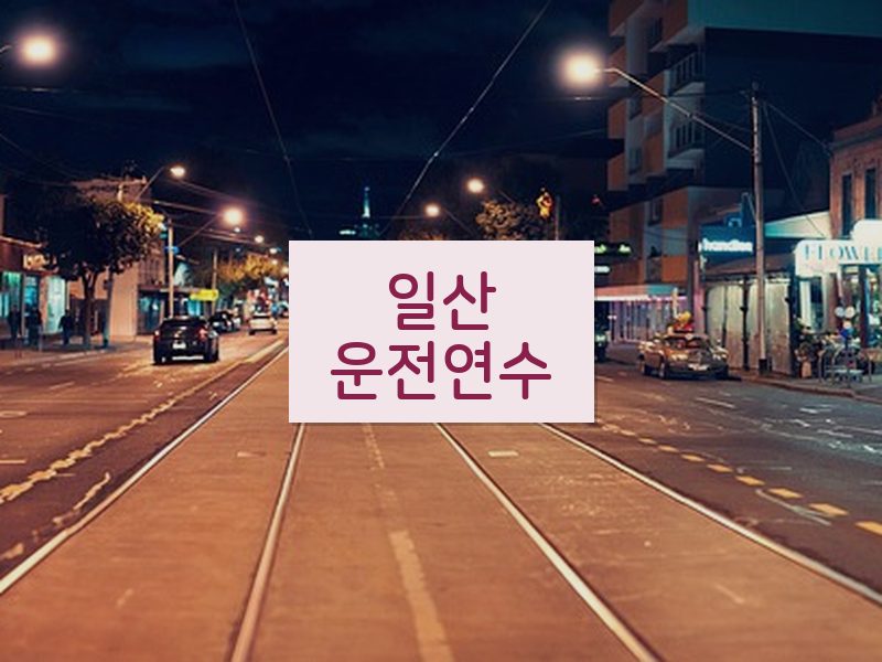 일산운전연수 후기