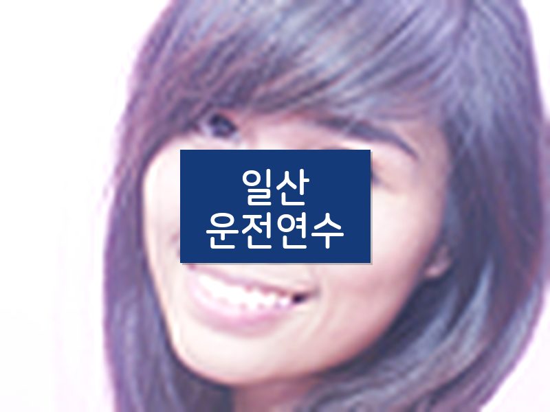 일산운전연수 후기