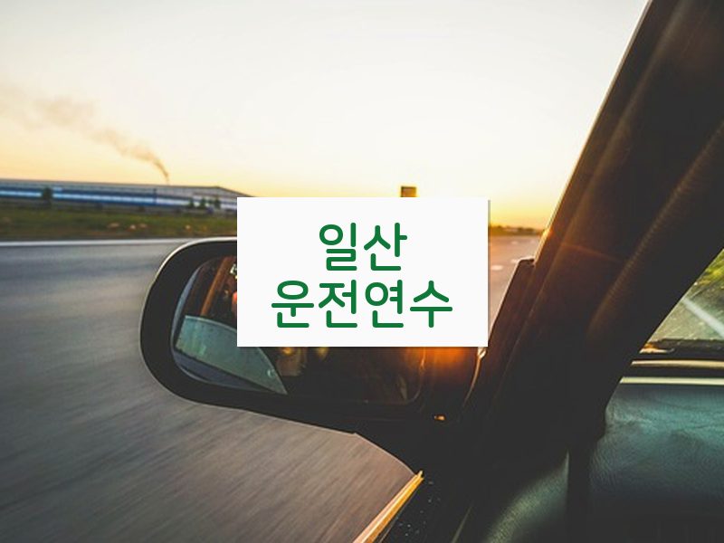 일산운전연수 후기