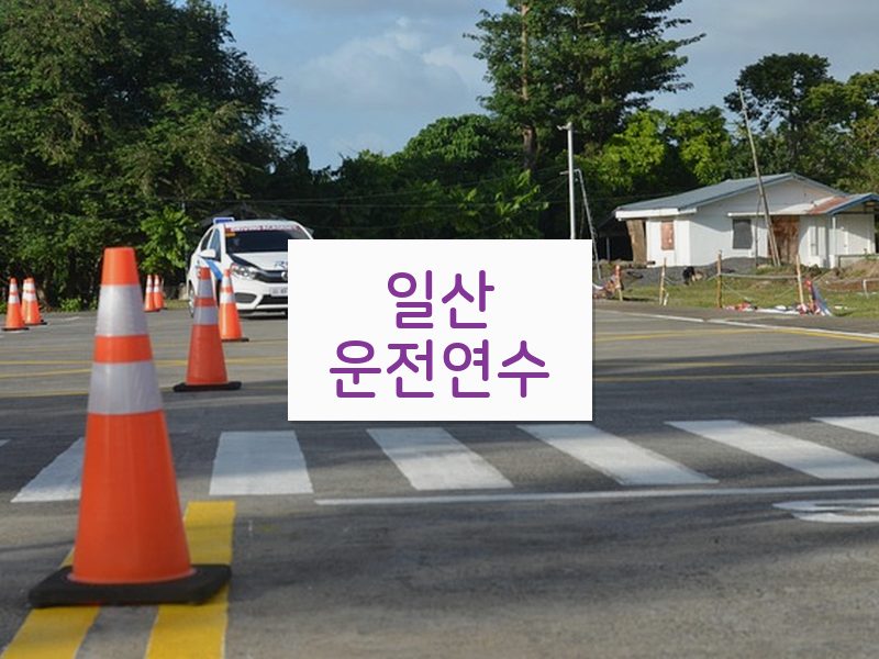 일산운전연수 후기