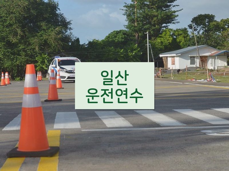 일산운전연수 후기