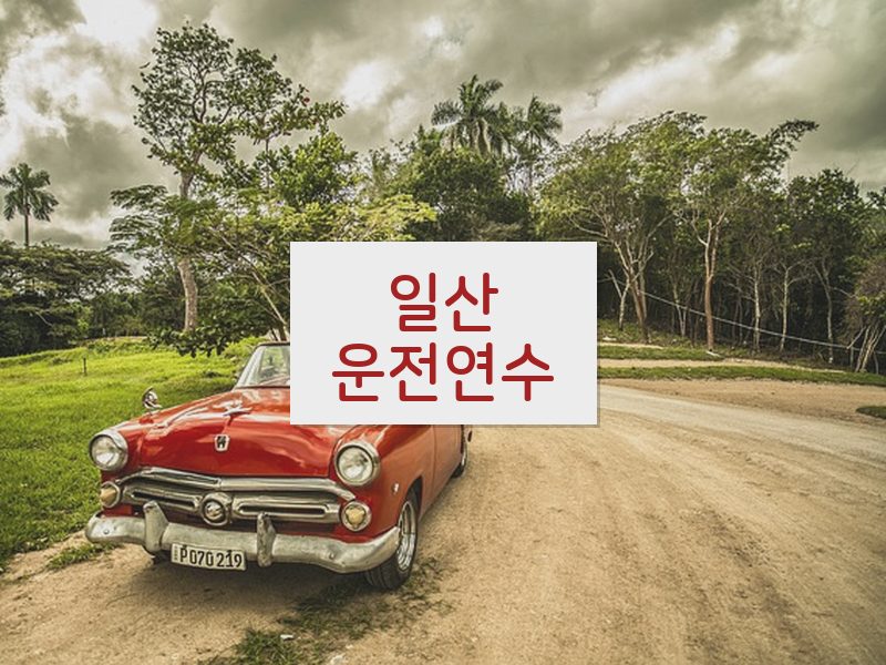 일산운전연수 후기