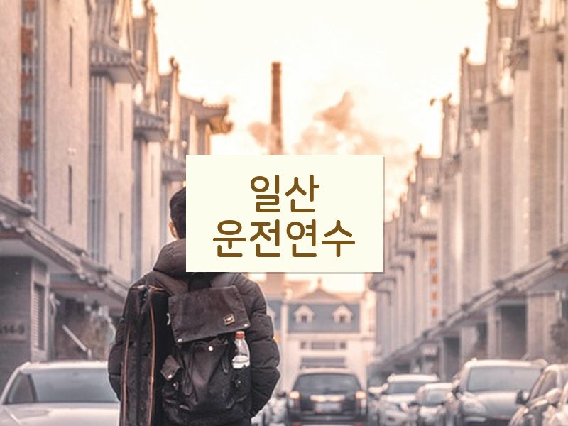 일산운전연수 후기