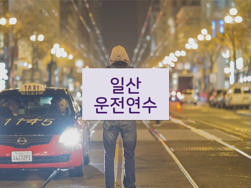 일산운전연수 후기