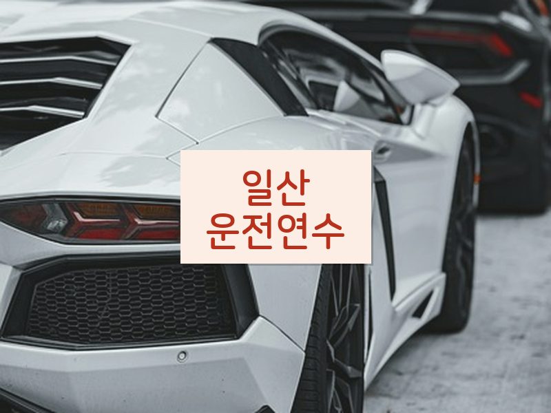 일산운전연수 후기