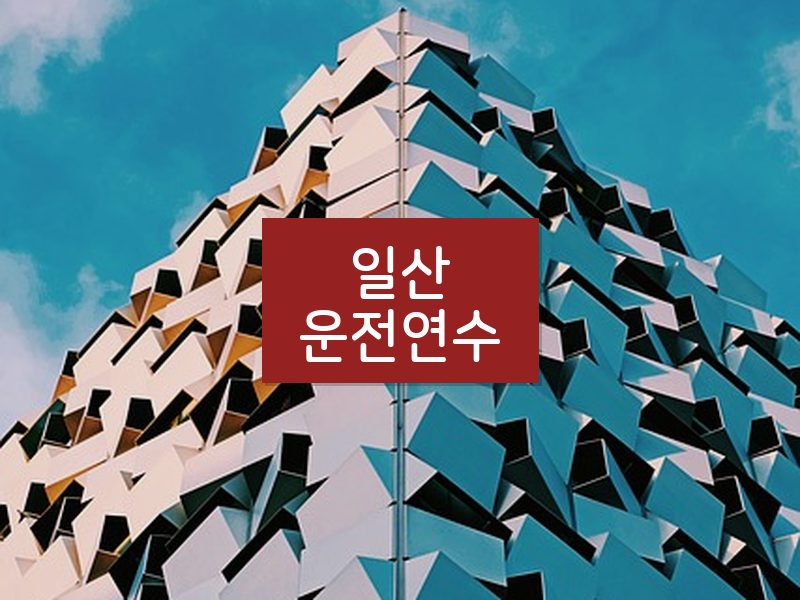 일산운전연수 후기