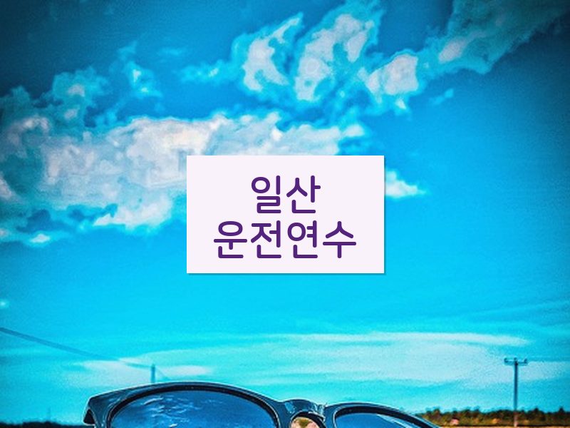 일산운전연수 후기
