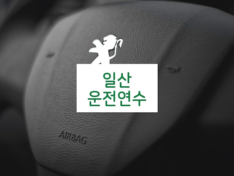 일산운전연수 후기